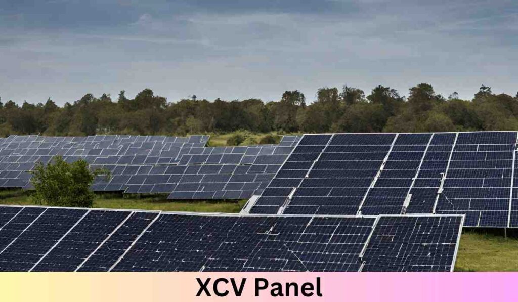 Unlocking XCV Panel Potential: An in-depth investigation