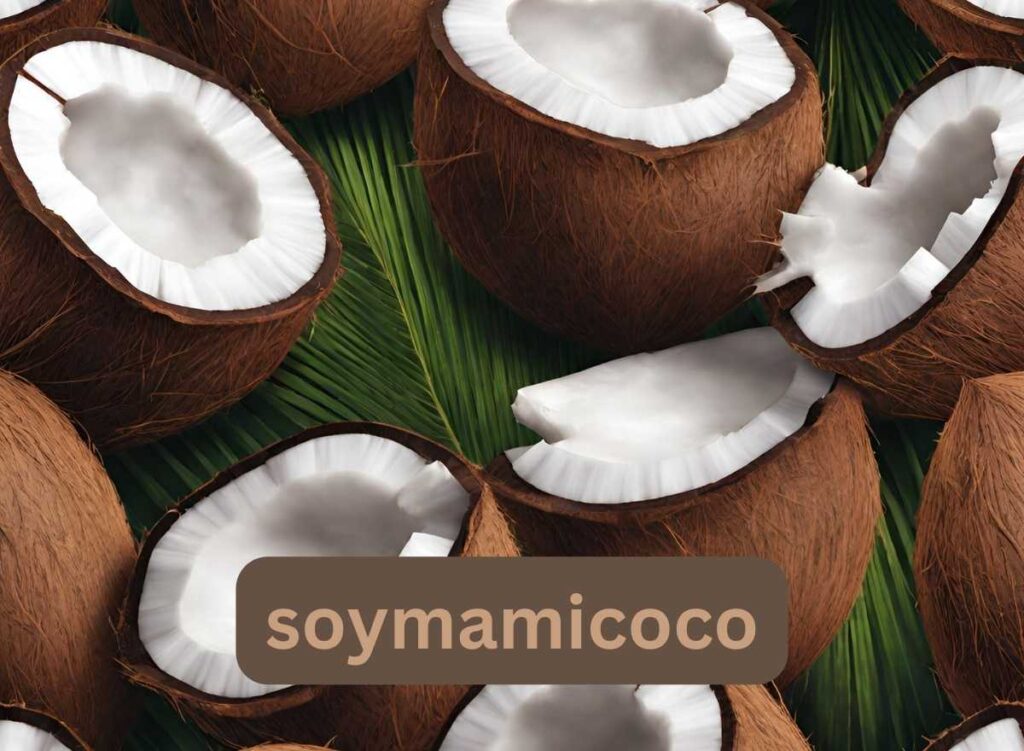 soymamicoco