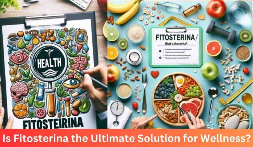 Is Fitosterina The Ultimate Solution For Wellness?