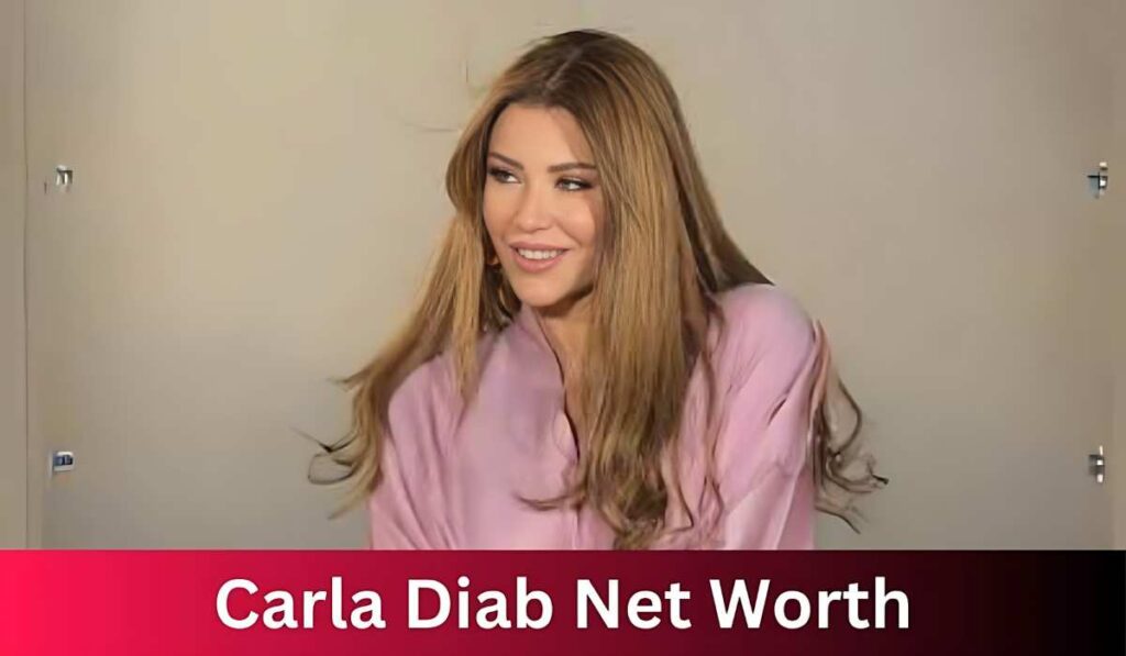 Carla Diab Net Worth: A Journey of Creativity, Philanthropy, and Success